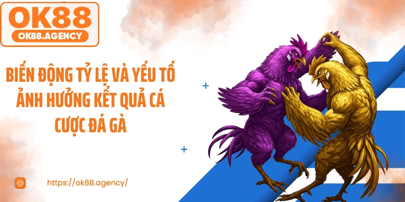 Biến động tỷ lệ và yếu tố ảnh hưởng kết quả cá cược đá gà