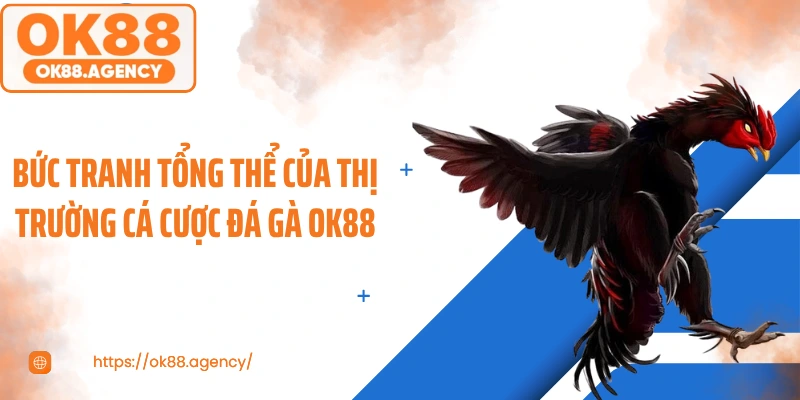 Bức tranh tổng thể của thị trường cá cược đá gà OK88