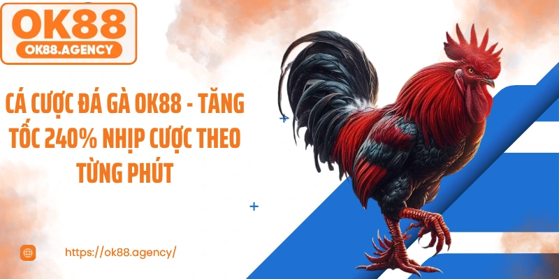 Cá Cược Đá Gà OK88 - Tăng Tốc 240% Nhịp Cược Theo Từng Phút