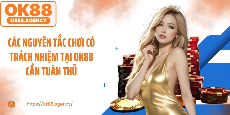 Các nguyên tắc chơi có trách nhiệm tại OK88 cần tuân thủ