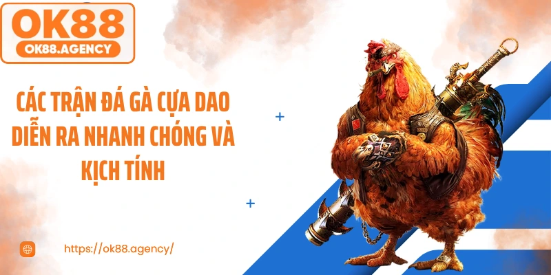 Các trận đá gà cựa dao diễn ra nhanh chóng và kịch tính