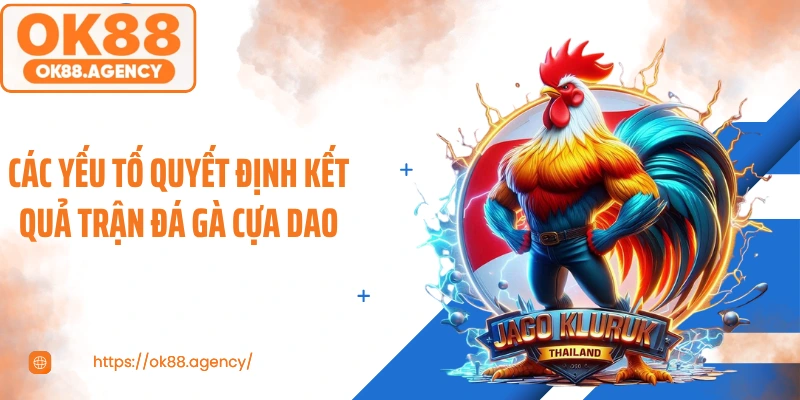 Các yếu tố quyết định kết quả trận đá gà cựa dao