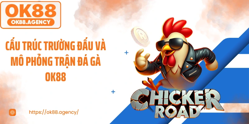 Cấu trúc trường đấu và mô phỏng trận đá gà OK88