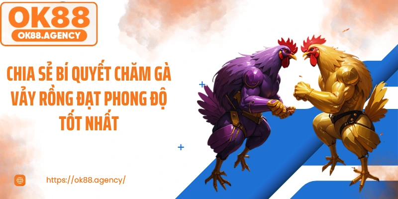Chia sẻ bí quyết chăm gà vảy rồng đạt phong độ tốt nhất