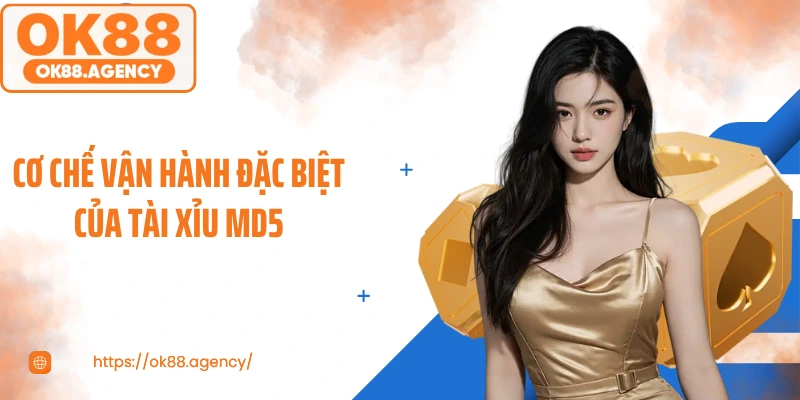 Cơ chế vận hành đặc biệt của tài xỉu MD5
