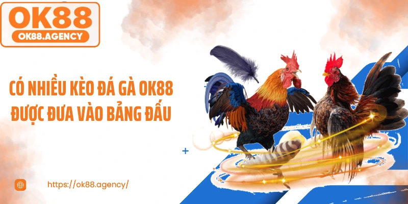 Có nhiều kèo đá gà OK88 được đưa vào bảng đấu