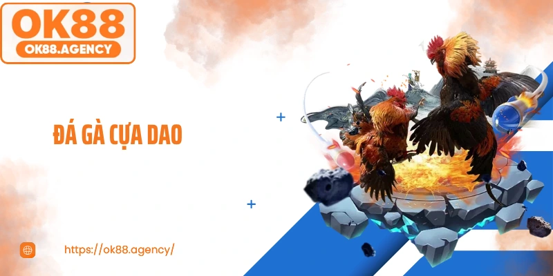 Đá Gà Cựa Dao: Chỉ 90 Giây Đủ Để Thay Đổi Cục Diện
