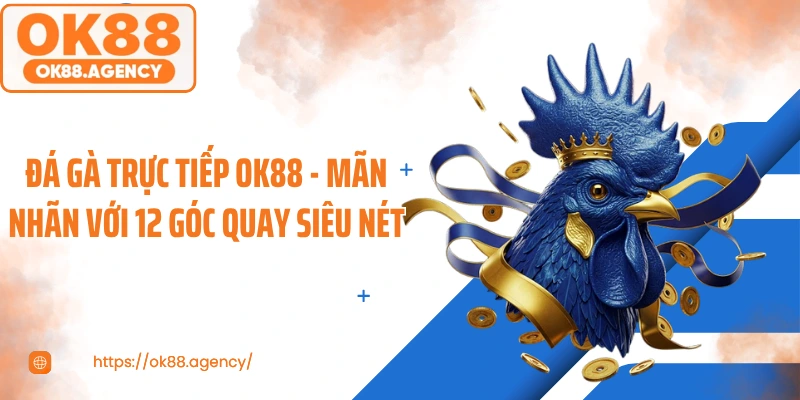 Đá Gà Trực Tiếp OK88 - Mãn Nhãn Với 12 Góc Quay Siêu Nét