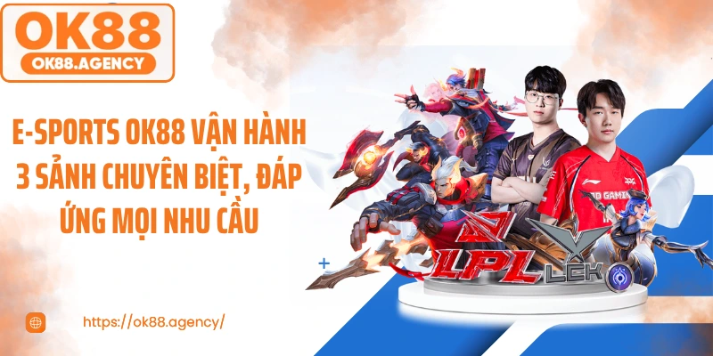 E-sports OK88 vận hành 3 sảnh chuyên biệt, đáp ứng mọi nhu cầu