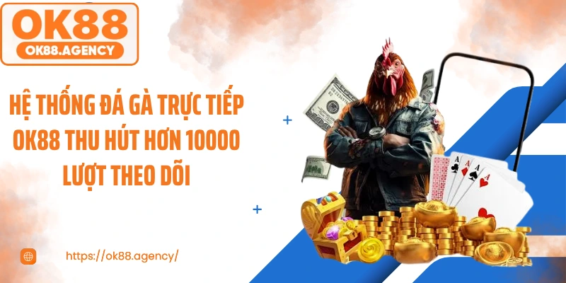 Hệ thống đá gà trực tiếp OK88 thu hút hơn 10000 lượt theo dõi