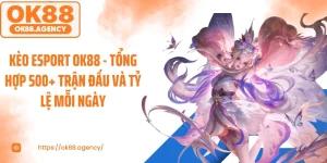 Kèo Esport OK88 - Tổng Hợp 500+ Trận Đấu Và Tỷ Lệ Mỗi Ngày