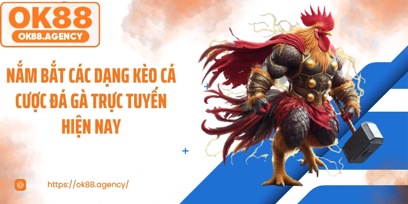 Nắm bắt các dạng kèo cá cược đá gà trực tuyến hiện nay