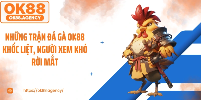 Những trận đá gà OK88 khốc liệt, người xem khó rời mắt