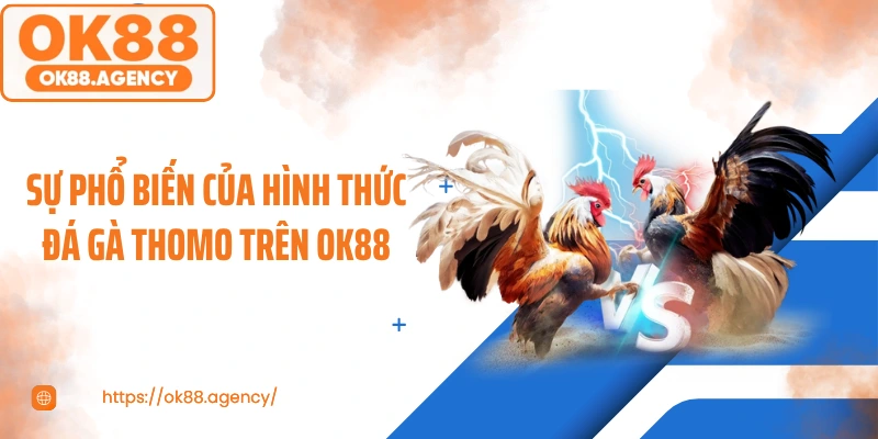 Sự phổ biến của hình thức đá gà Thomo trên OK88