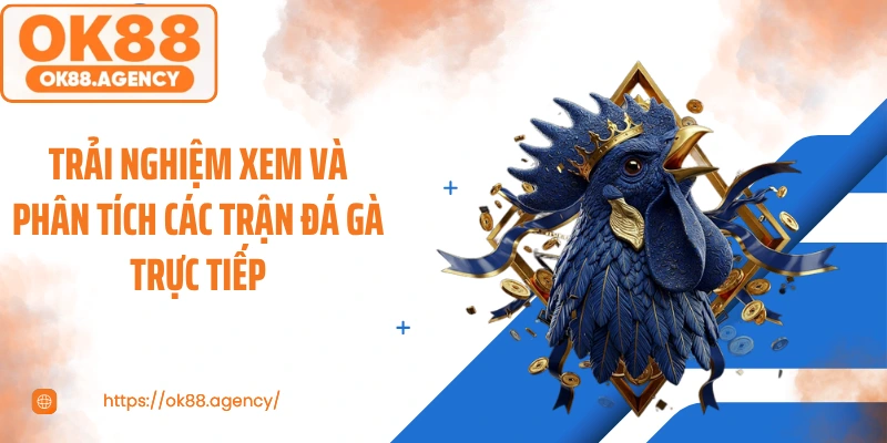 Trải nghiệm xem và phân tích các trận đá gà trực tiếp