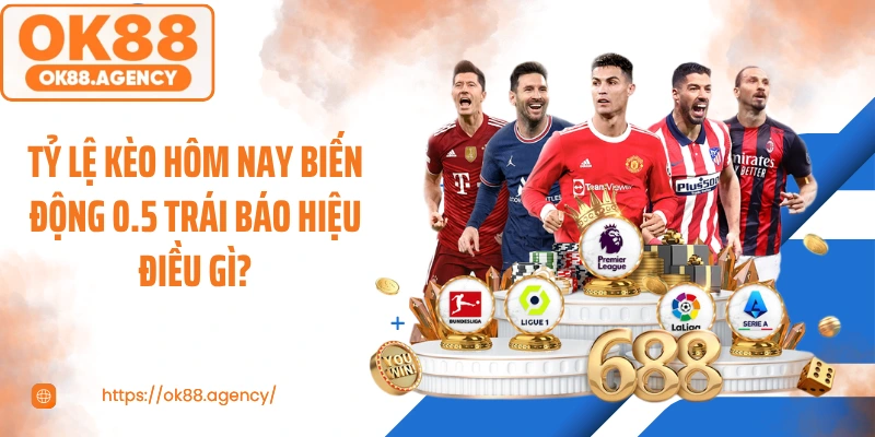 Tỷ Lệ Kèo Hôm Nay Biến Động 0.5 Trái Báo Hiệu Điều Gì?