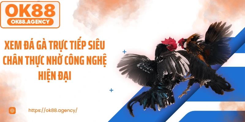 Xem đá gà trực tiếp siêu chân thực nhờ công nghệ hiện đại